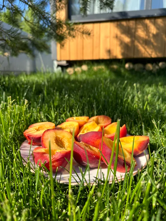 Коттедж Дом с террасой на берегу реки — Логиново