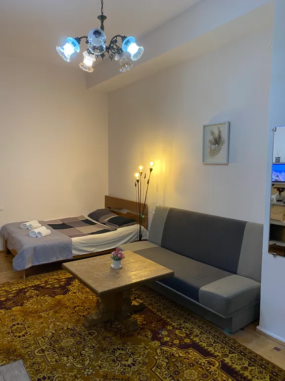 Однокомнатная квартира в центре города