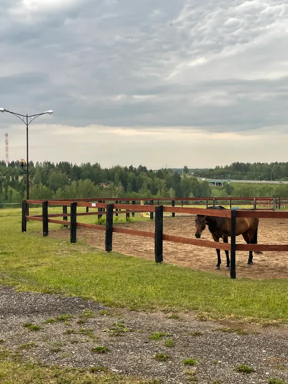 Гостевой дом Сфера Семейная