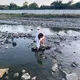 Олеся
