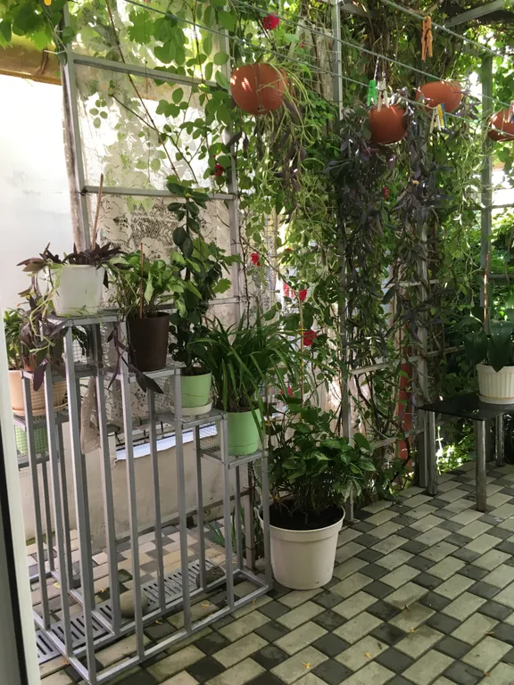 Квартира Комната в частном доме в центре Анапы — Анапа