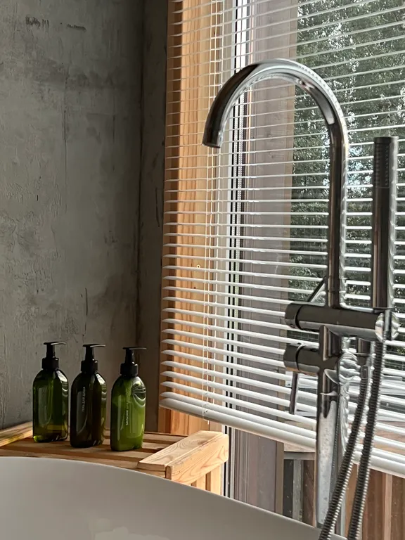 Уютный стильный новый дом с баней в окружении берёзовой рощи