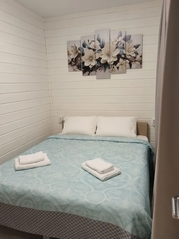 3- х комнатный таунхаус на люпиновом поле