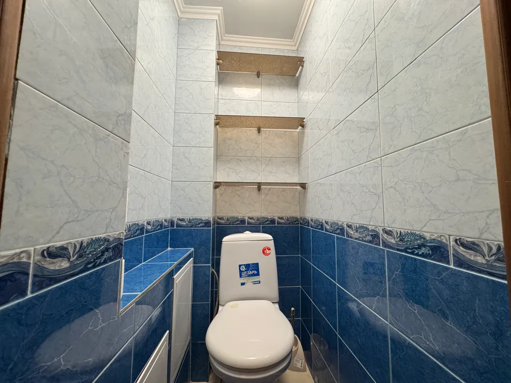 Рядом лес, никакой суеты