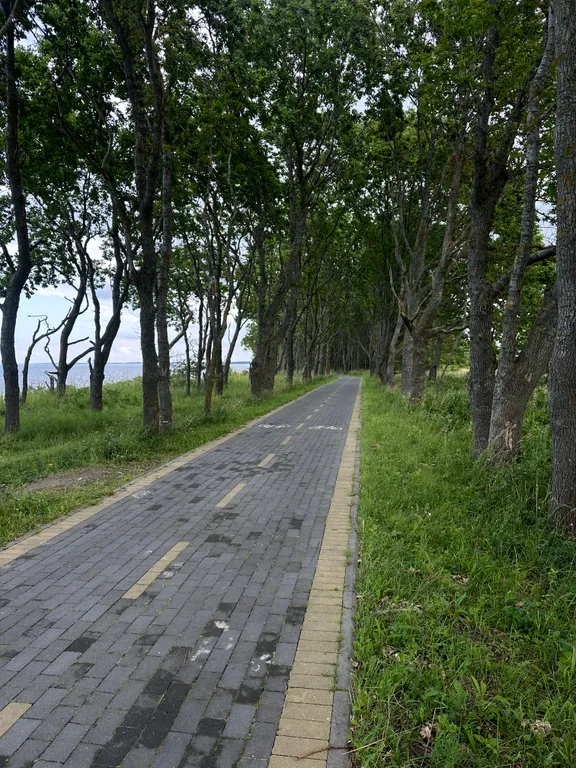 Квартира Уютная современная квартира — Пионерский