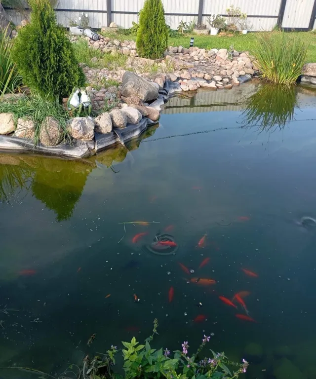 Коттедж Домик в деревне "в гостях у Молли" — Волосово