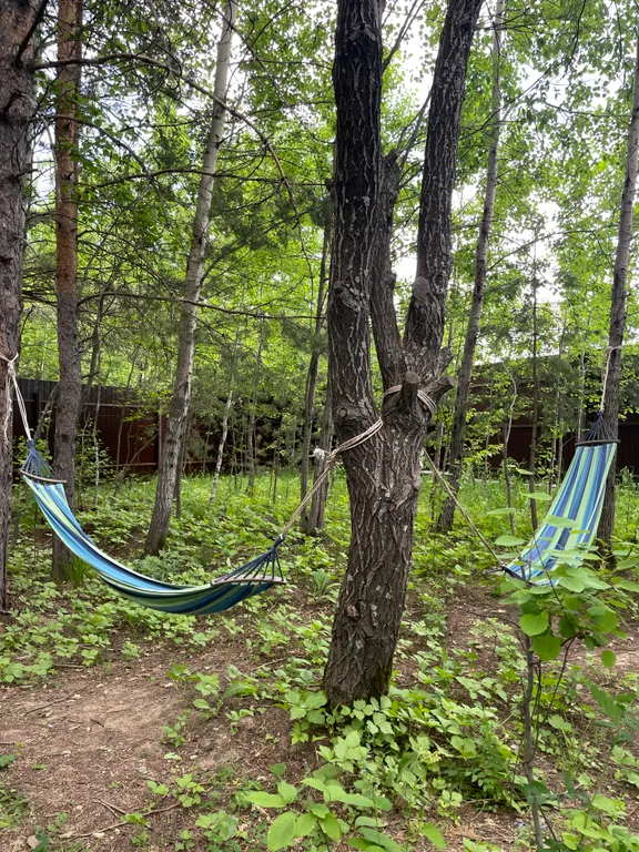 Дом с баней и купелью у леса