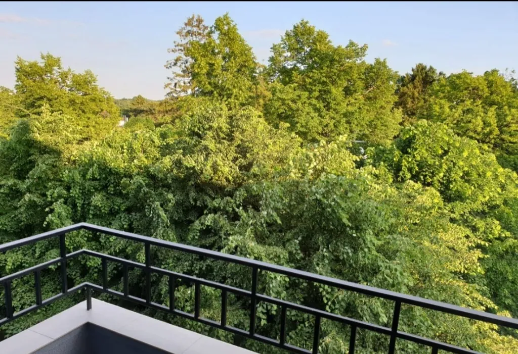 Квартира Апартаменты расположены в пешей доступности от вокзала — Светлогорск