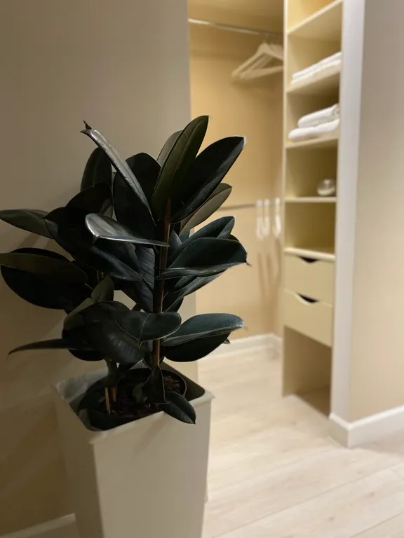 Студия рядом с аэропортом Шереметьево