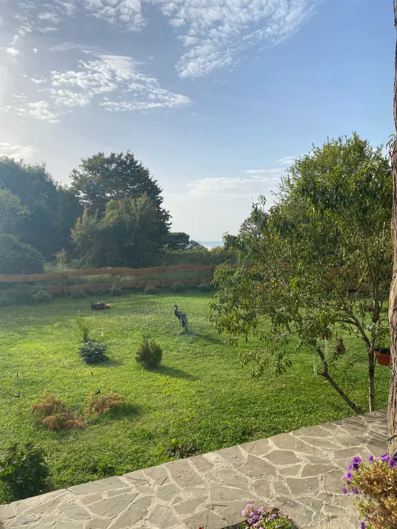 Аристова дача