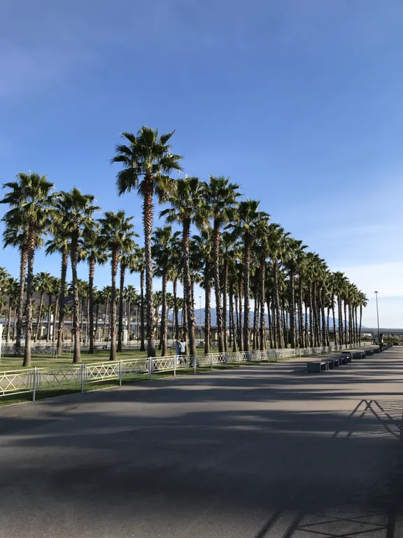 Квартира Делюкс комната с удобствами в лучшем районе Сириуса — Сириус