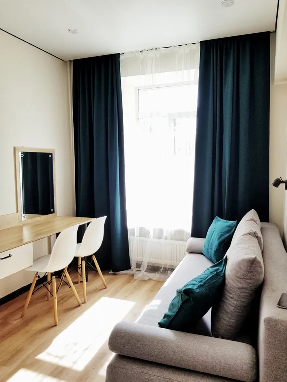 Небольшая студия Черника с ванной комнатой