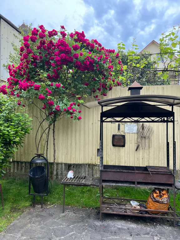 Трехкомнатный апартамент у моря  в КК Орхидея парк