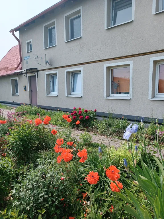 Квартира 2-комнатная Квартира — Зеленоградск