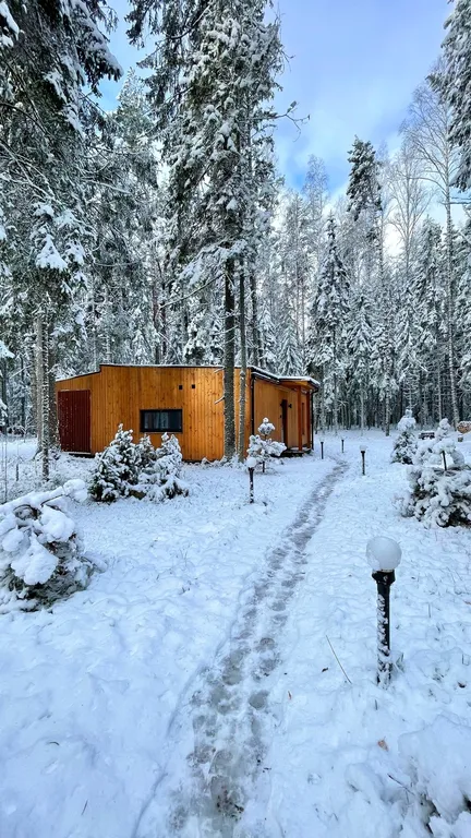 Коттедж Домик в лесу у озера для семейного отдыха — Турбаза Чайка