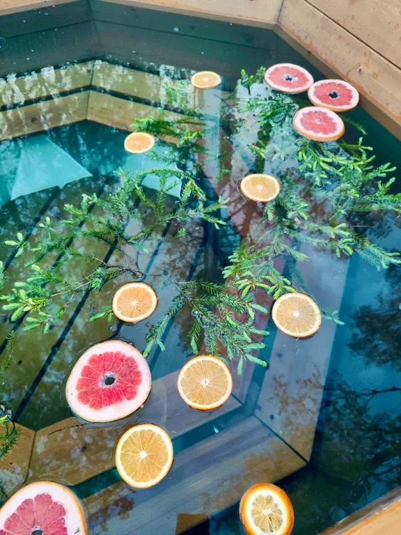 Дом "Родная Дача" с сауной и банным чаном