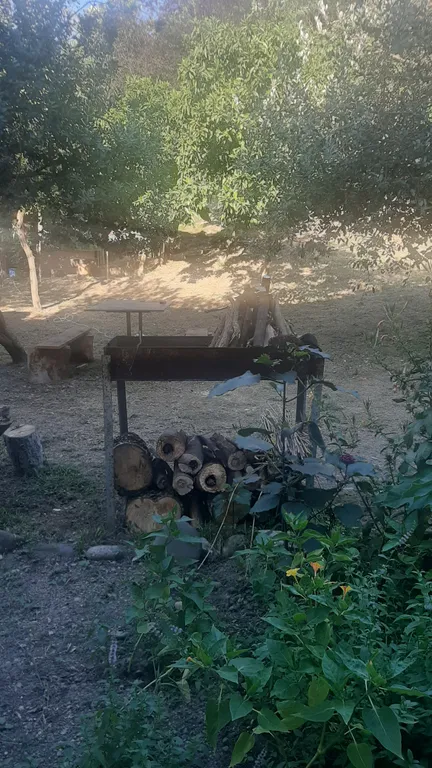 Отдельный номер-люкс в гостевом доме