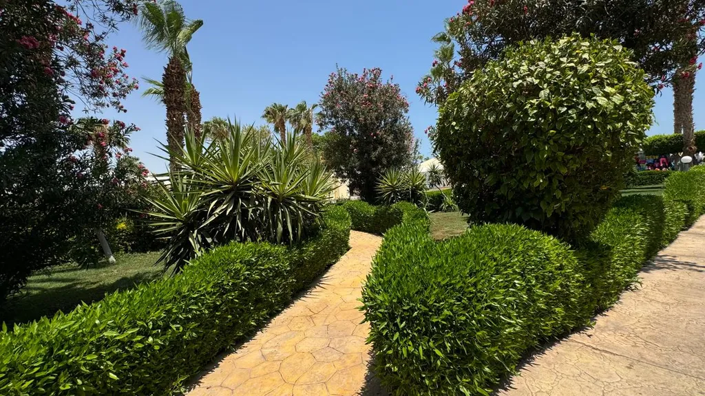 Уютная студия c аквапарком, морем, бассейном и всеми удобствами