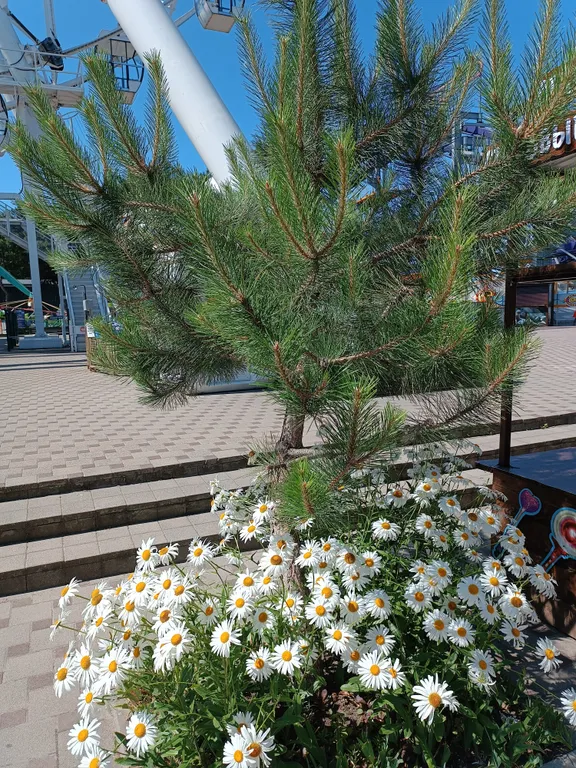 Уютная квартира с интернетом