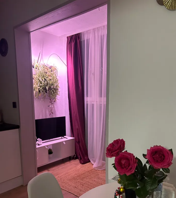 Квартира Апартаменты Romantic Apartment — Калининград