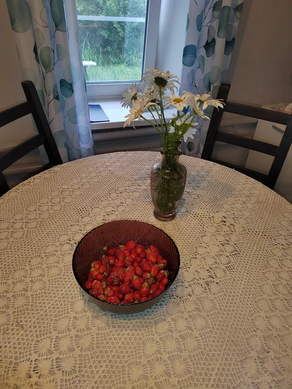 Теплая и уютная дача Антоновские яблоки, рядом парк Кудыкина гора