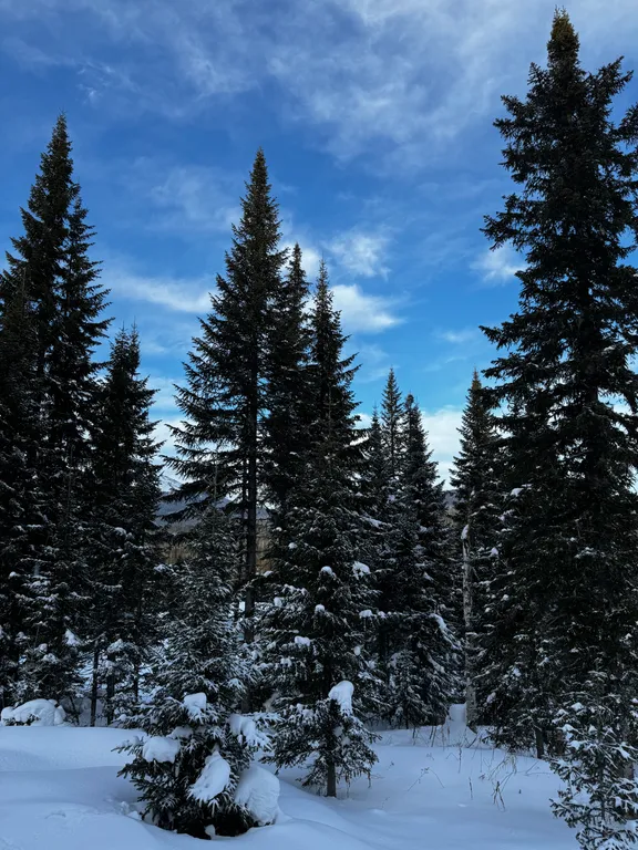 Гостевой дом Баzа уютное размещение на горе, рядом баня