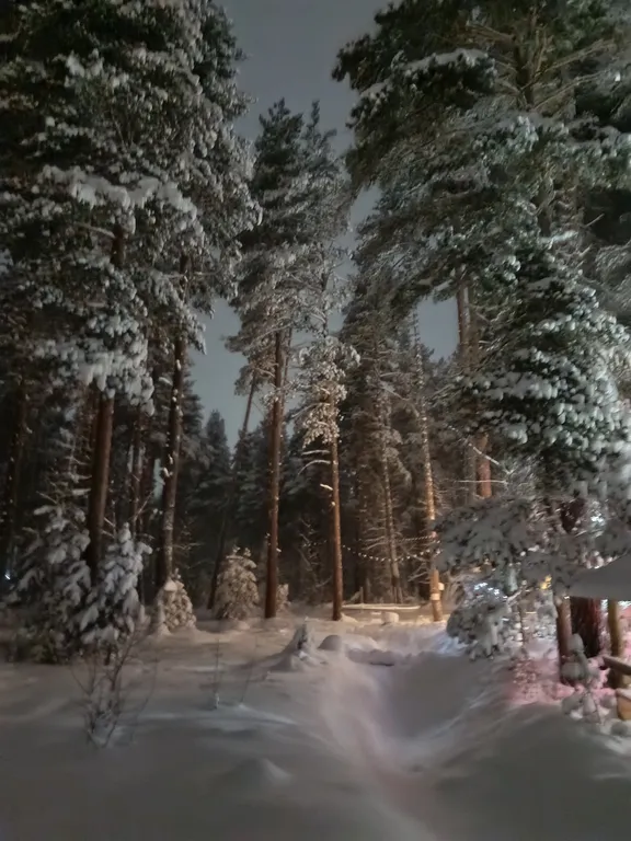 Коттедж Коттедж Лес хрустальной песни — Архыз