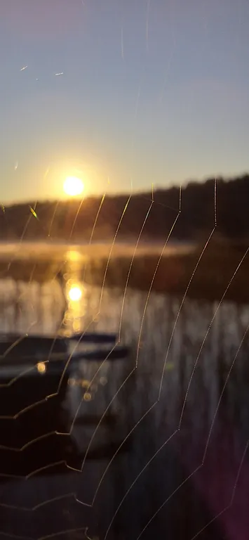 Уютный коттедж на берегу великолепного озера Ханкасъярви