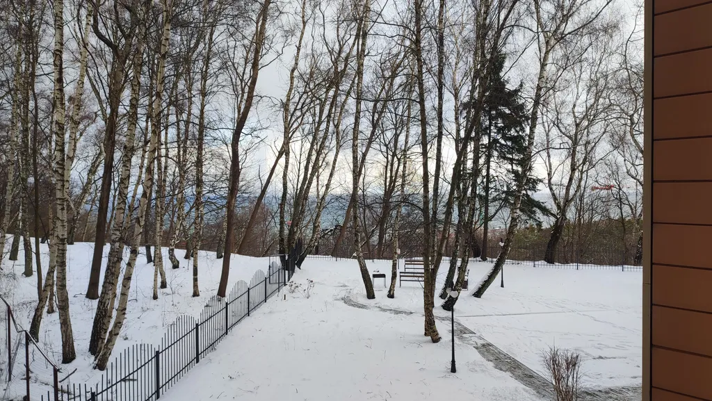 Студия на берегу Балтийского моря