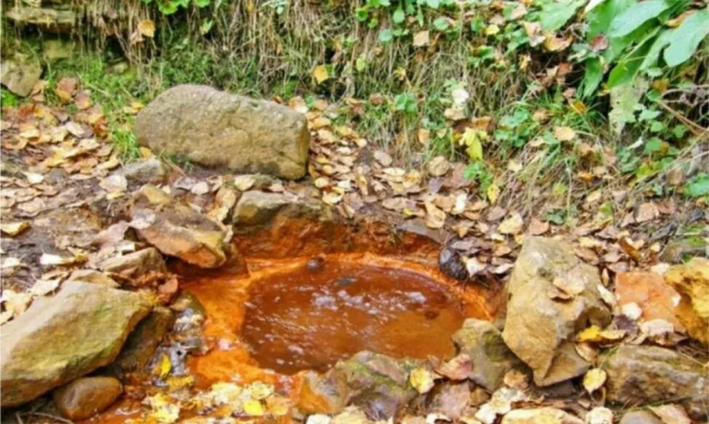 Уютная квартира на Поляне