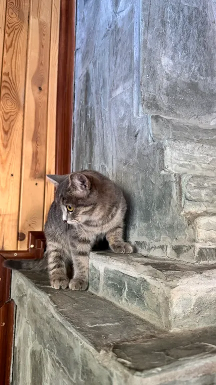 Райская усадьба