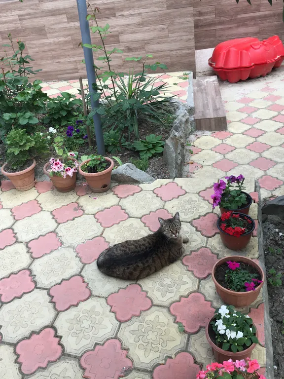 1-комнатный Дом