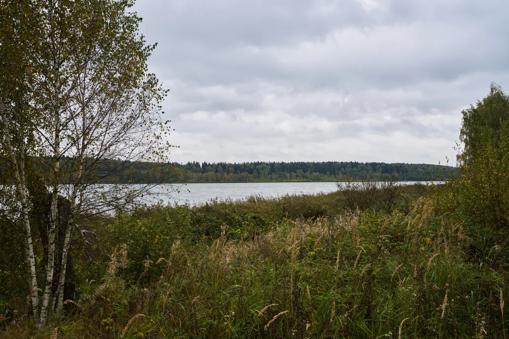 Панорамный дом у озера Сенеж рядом с банным комплексом