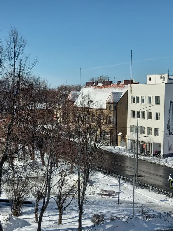 Рыбки-котики