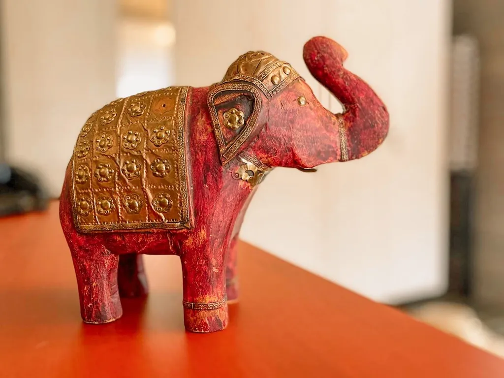 Дом носорога с камином