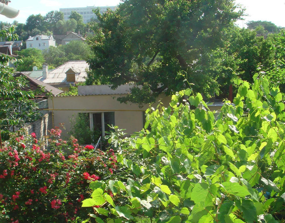 Коттедж Уютный домик в саду — Севастополь