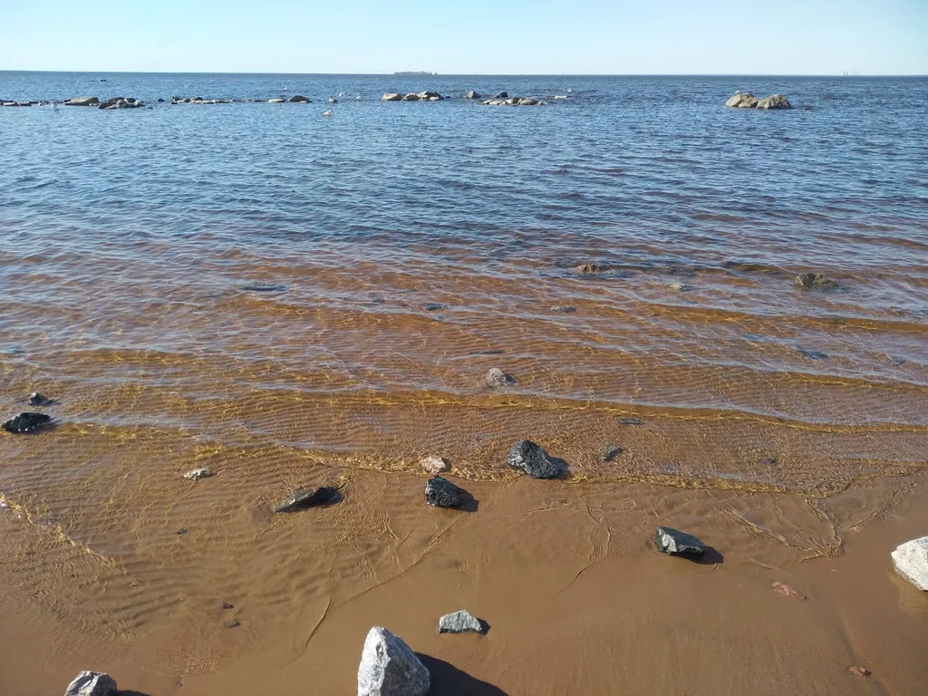 Квартира Уютная квартира с видом на море — Санкт-Петербург