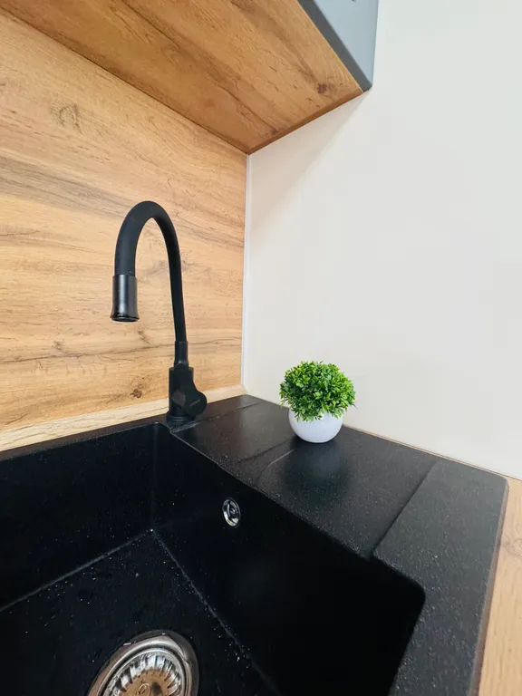 Квартира 1-комнатная Квартира — Сириус