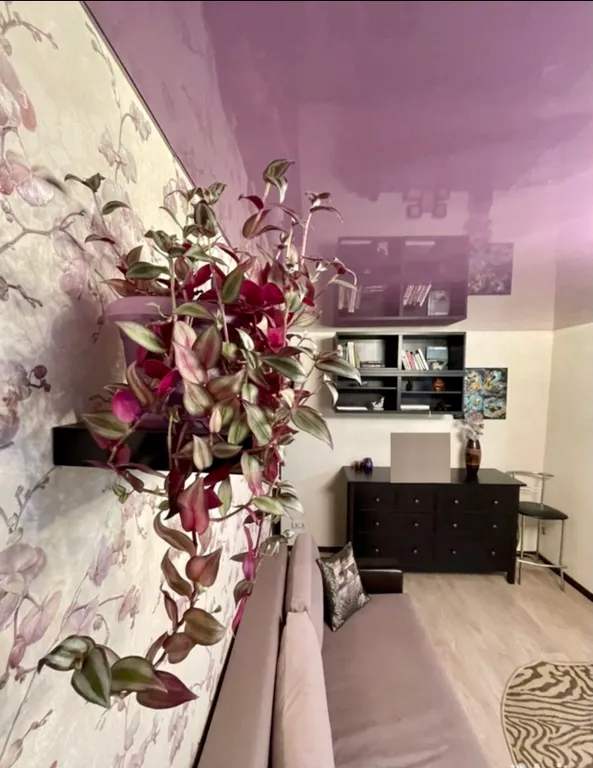 Уютная квартира в историческом центре города