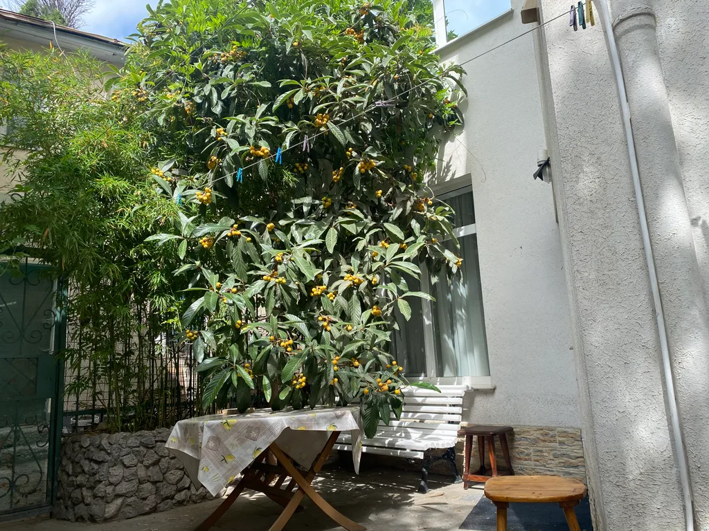 Уютная квартира в центре города со своим двориком