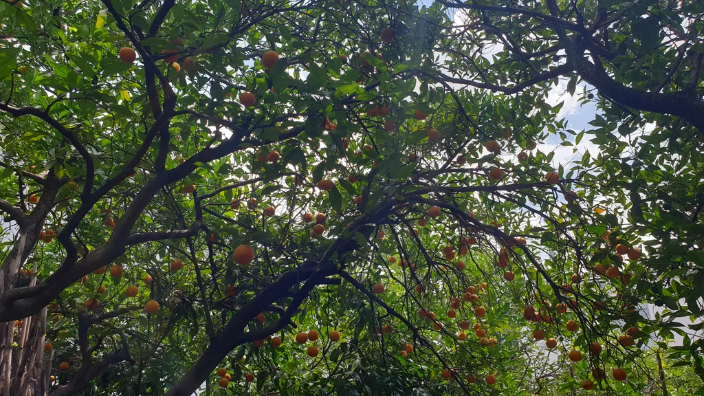 Дом для отдыха