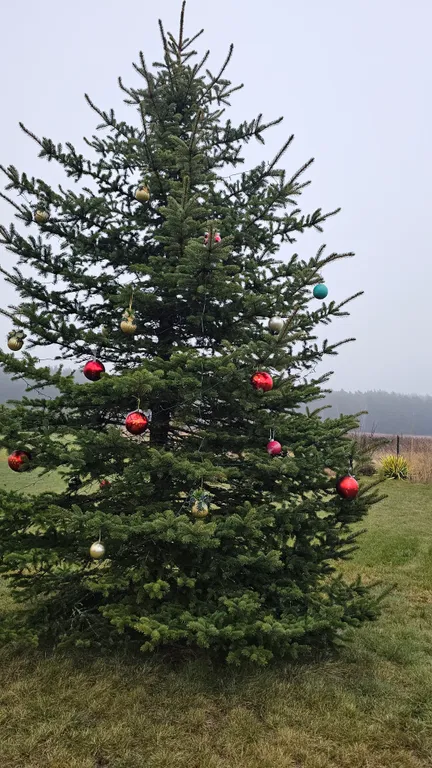 Агроусадьба Лесная Паулинка