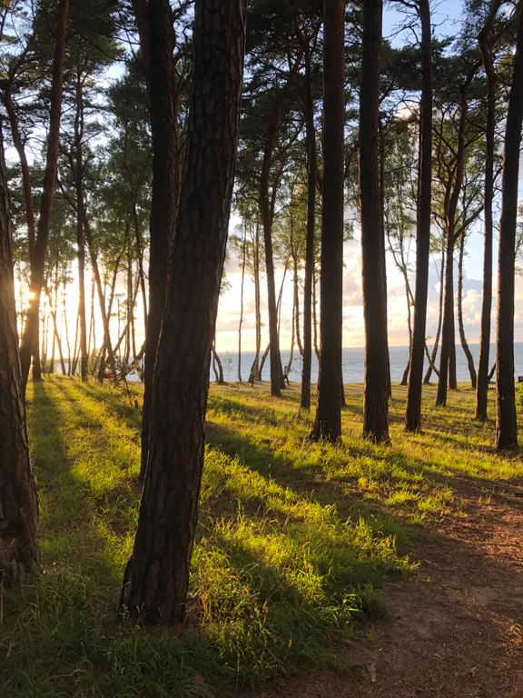 Уютная квартира в зеленом городке на Балтийском море