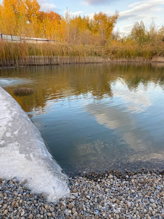 Домик у озера