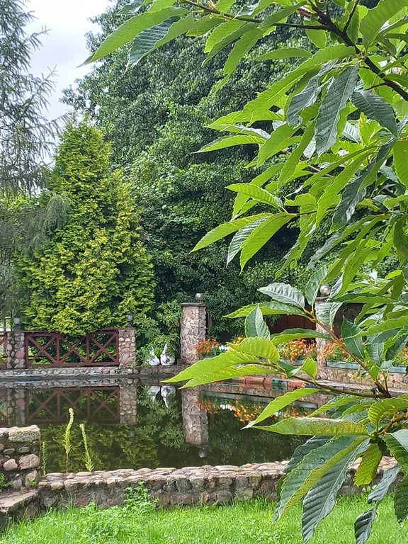 Уютный домик с баней, камином и террасой возле пруда