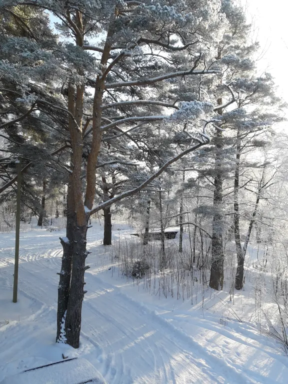 Коттедж Уютный коттедж на берегу Судаковского озера — Ларионово