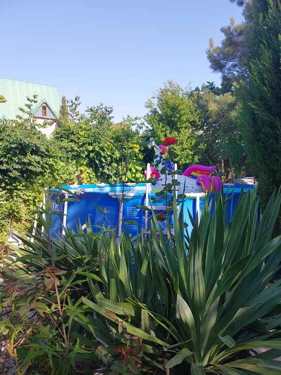 Квартира Квартира Уютная, очень зеленая дача у моря — Севастополь