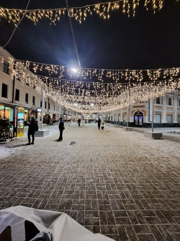 Квартира Квартира Уютное гнездо в самом Центре — Ярославль