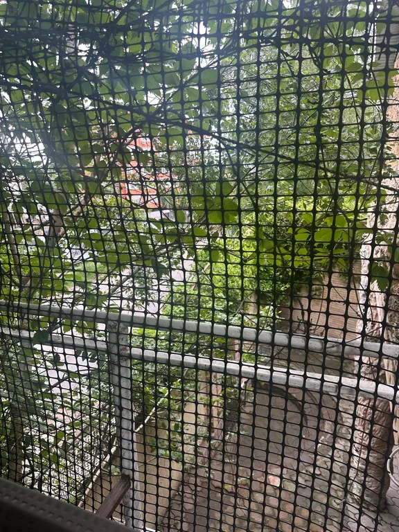 Большой дом с баней, бассейном, мангалом и парковкой