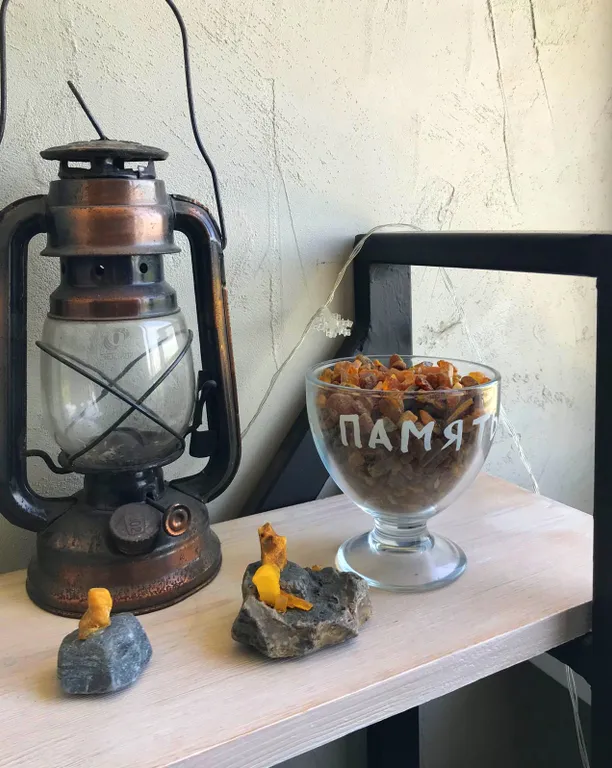 Квартира Квартира в центре города с видом на Нижнее озеро и Кафедральный собор — Калининград